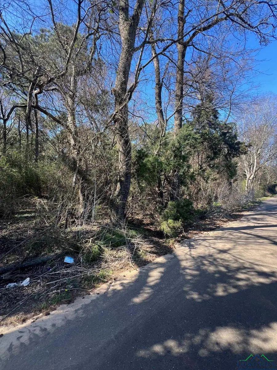 TBD CR 2120, Pittsburg, TX 75686 - Image #2