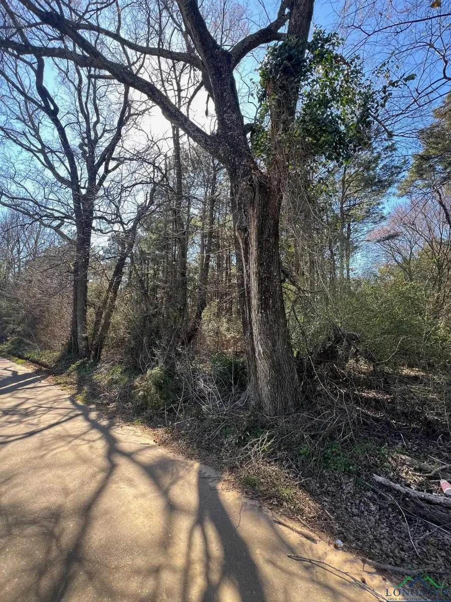 TBD CR 2120, Pittsburg, TX 75686 - Image #3