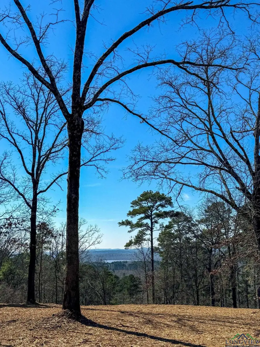 0001 Hwy 729, Lone Star, TX 75668 - Image #2