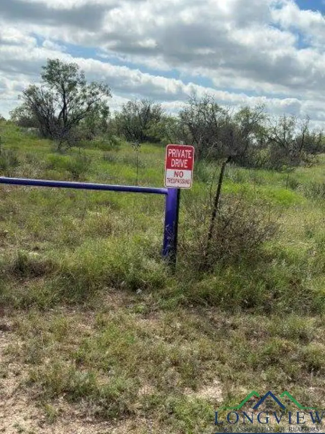 6819 FM 382, Talpa, TX 76882 - Image #1
