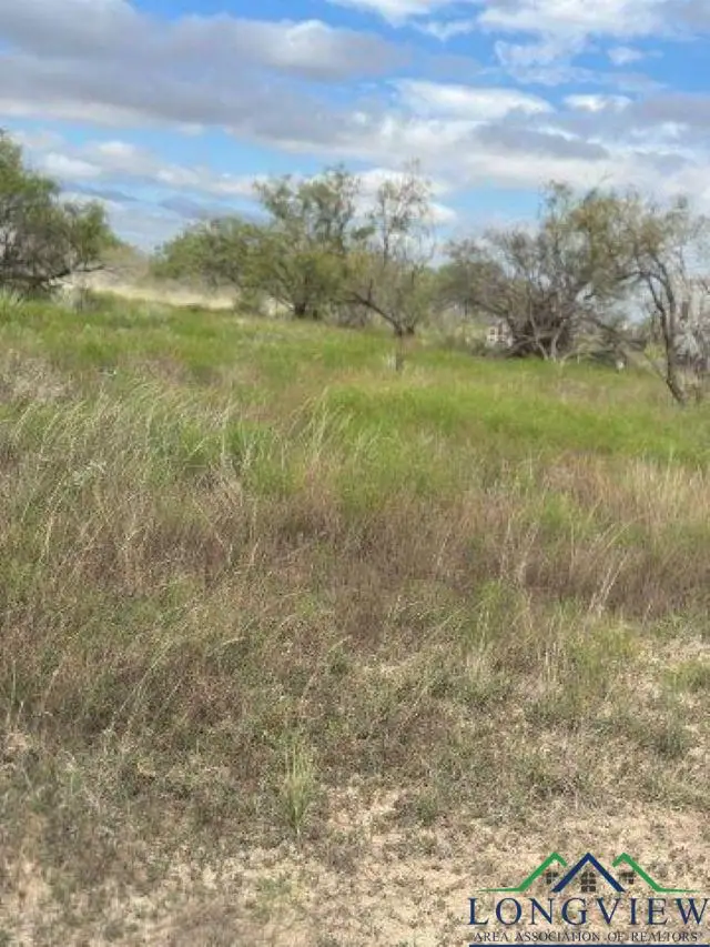 6819 FM 382, Talpa, TX 76882 - Image #3