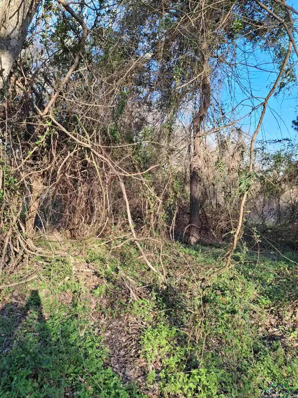 TBD County Road 476, Henderson, TX 75652