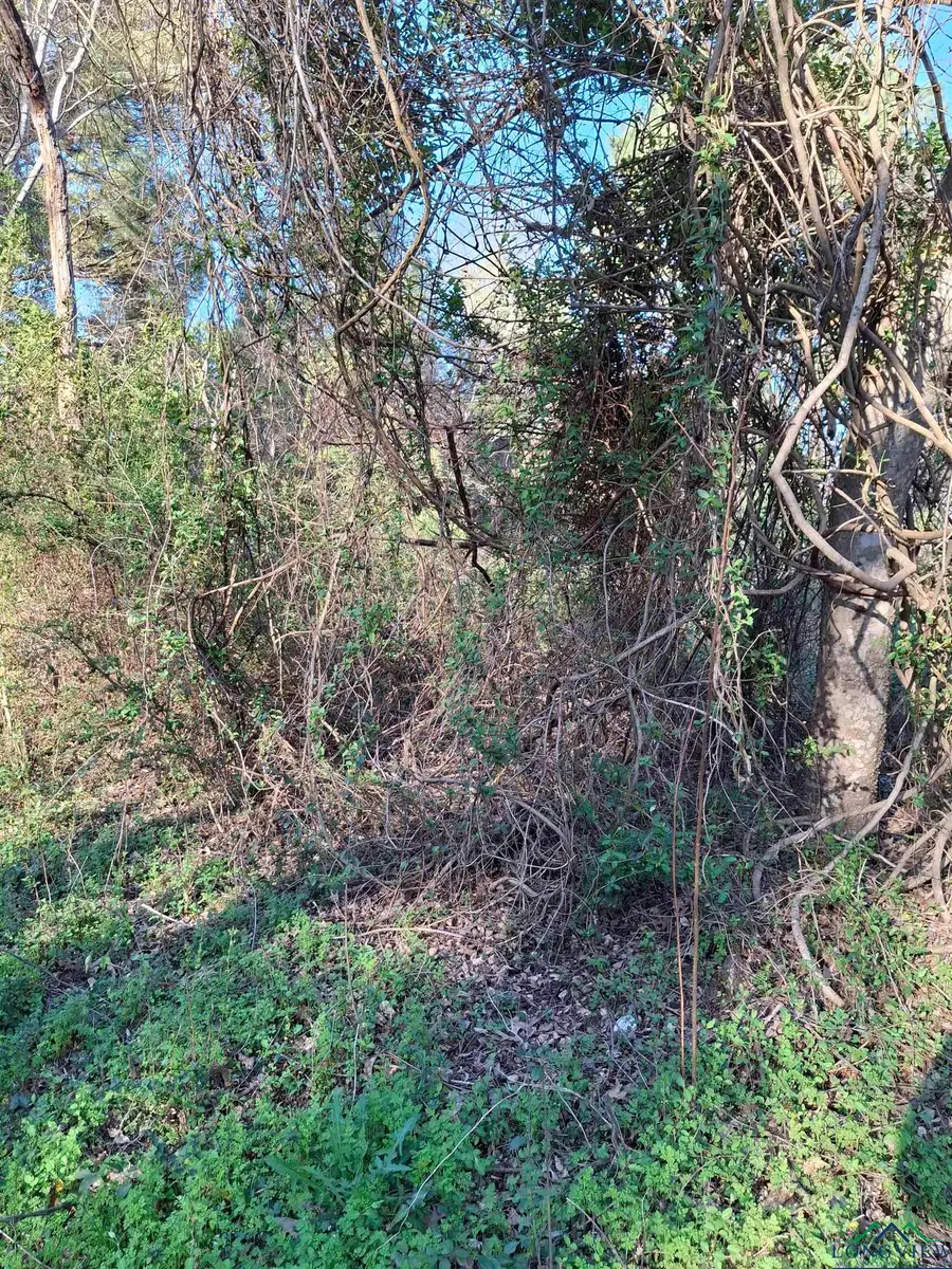 TBD County Road 476, Henderson, TX 75652 - Image #2