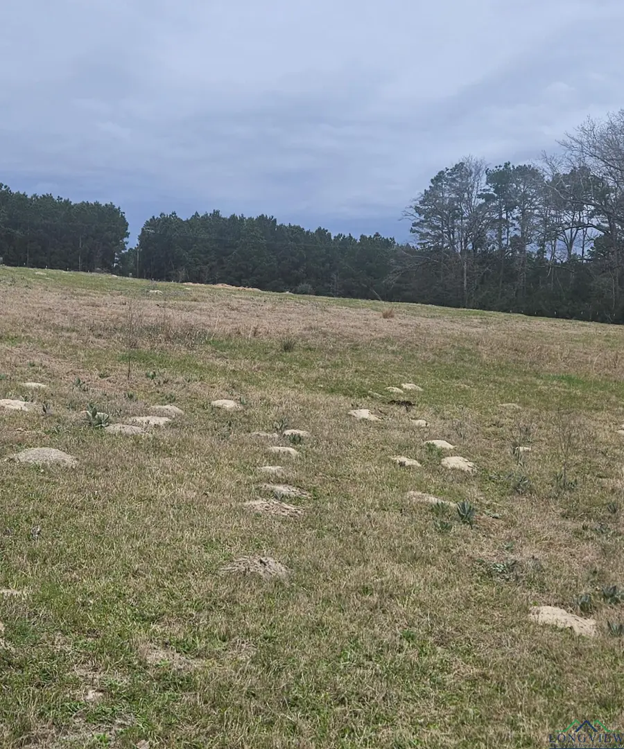 6259 W FM 999, Timpson, TX 75975 - Image #2