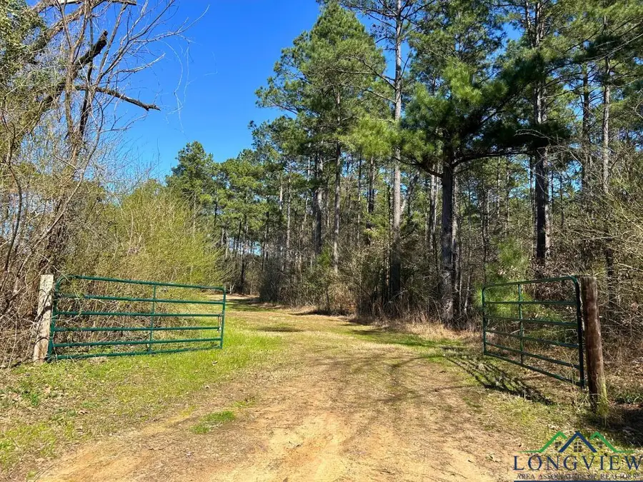 TBD CR 1453, Linden, TX 75563-0000 - Image #2