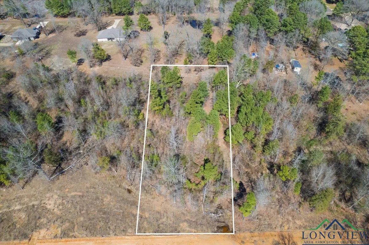 Lot 8 Piney Lane, Pittsburg, TX 75686 - Image #1