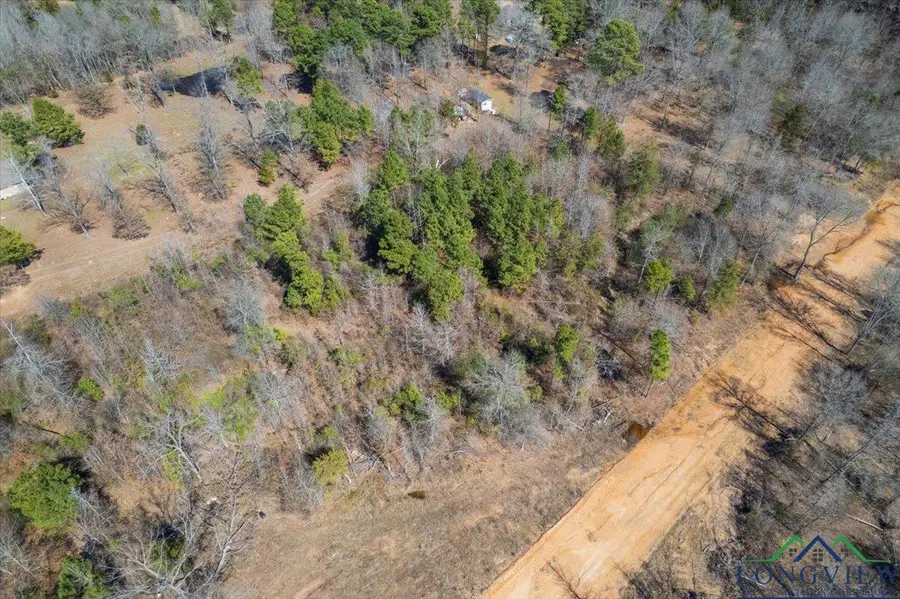 Lot 8 Piney Lane, Pittsburg, TX 75686 - Image #2