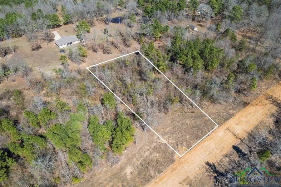 Lot 7 Piney Lane, Pittsburg, TX 75686 - Image #3