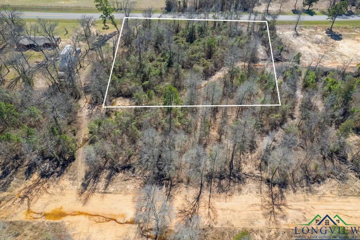 Lot 17 Highway 11, Pittsburg, TX 75686 - Image #1