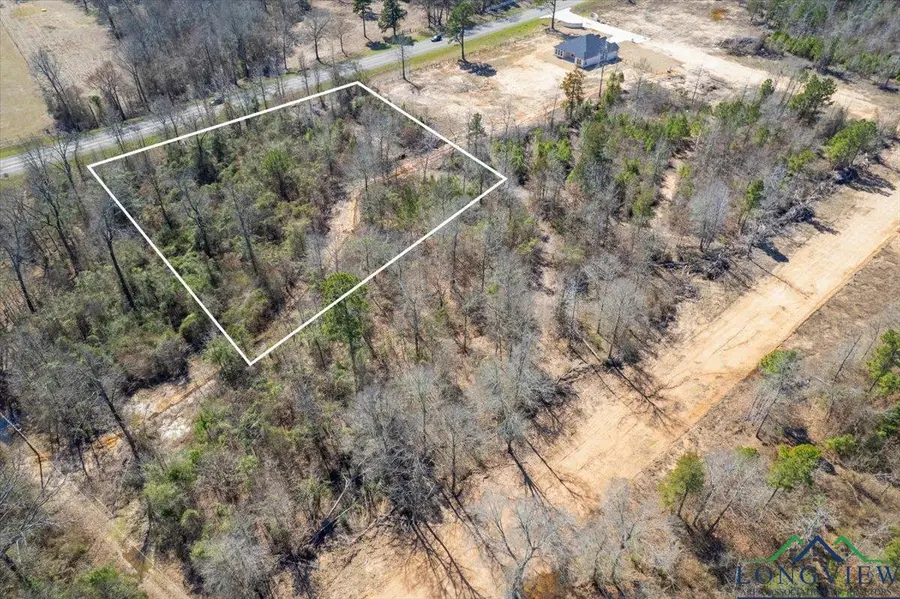 Lot 17 Highway 11, Pittsburg, TX 75686 - Image #3