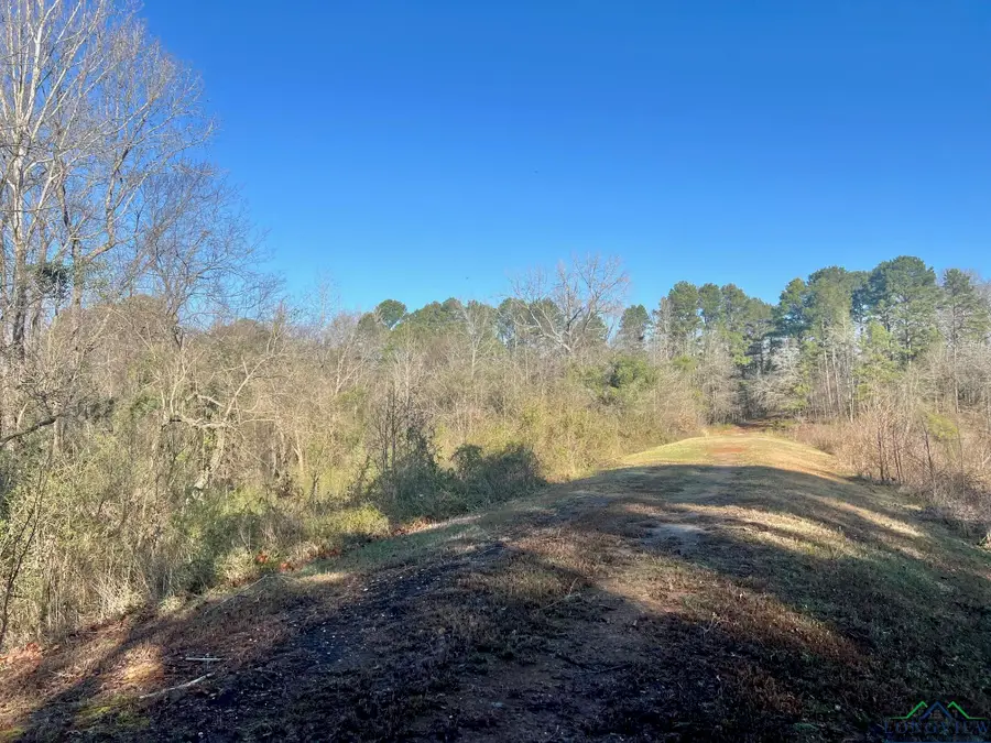 TBD CR 1670, Mount Pleasant, TX 75455-4571 - Image #3