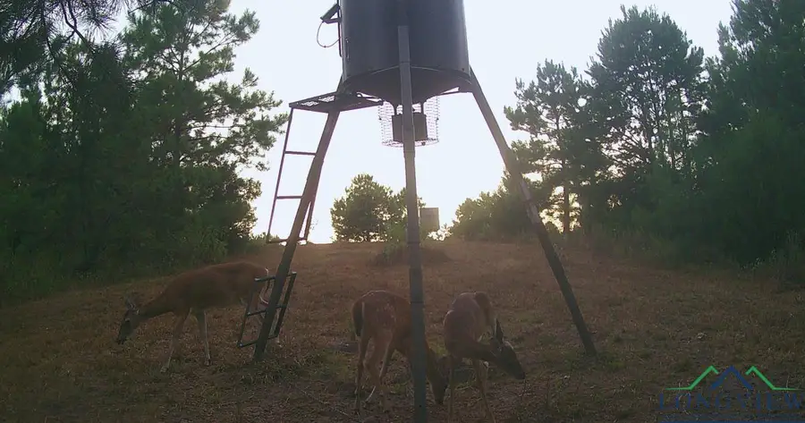 TBD County Road 1634, Linden, TX 75563 - #2