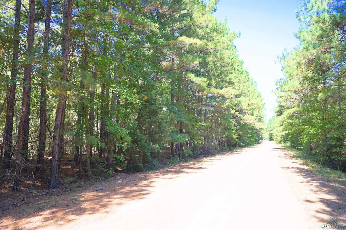 Tract 2 CR 245 S, Kilgore, TX 75662 - Image #1