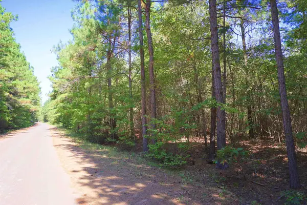 Tract 5 CR 245 S, Kilgore, TX 75662