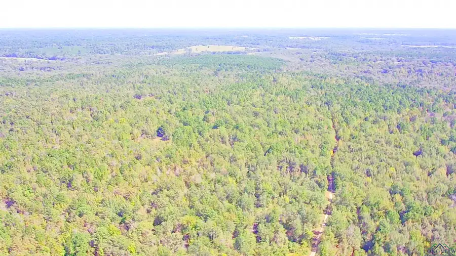 Tract 6 CR 245 S, Kilgore, TX 75662 - Image #2