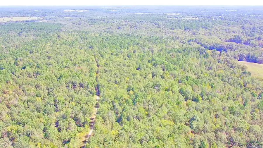 Tract 6 CR 245 S, Kilgore, TX 75662 - Image #3