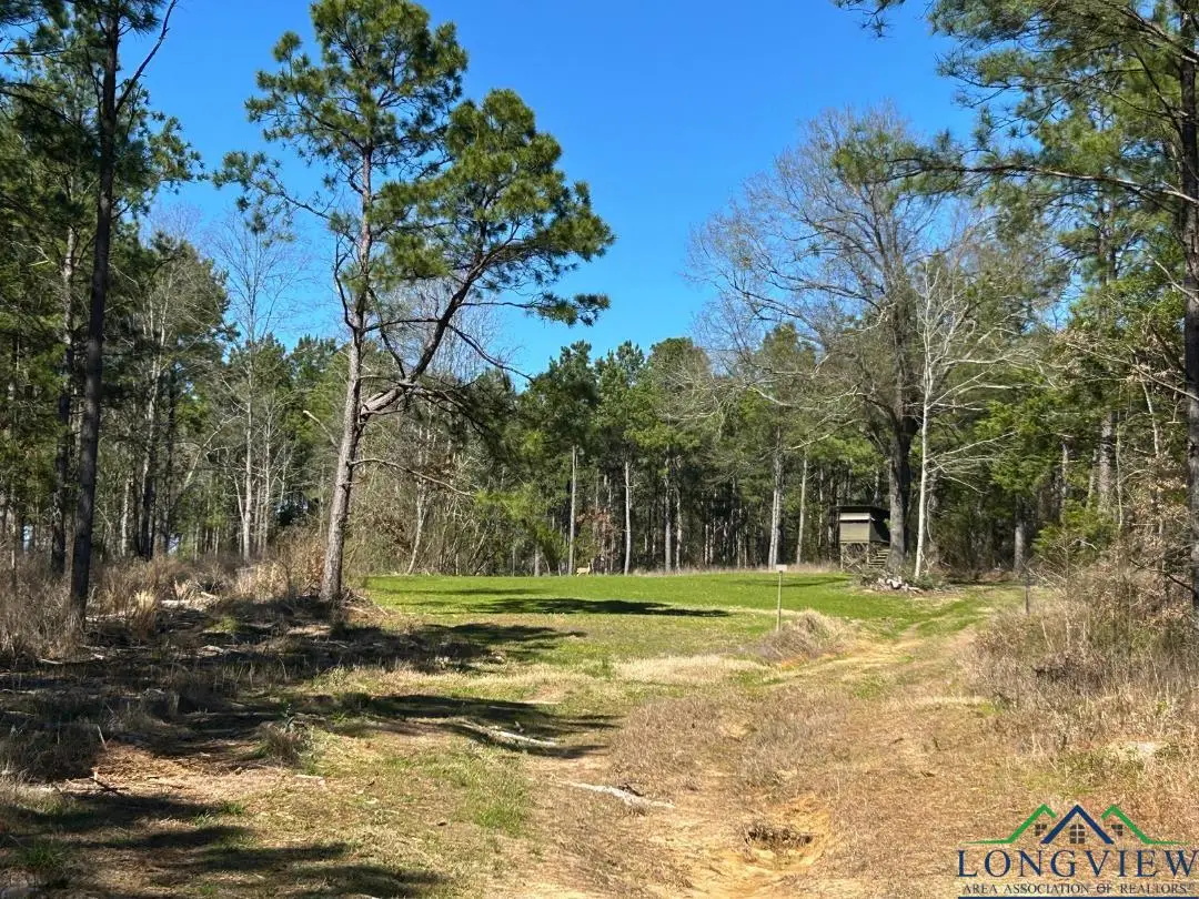 TBD CR 1453, Linden, TX 75563 - Image #1