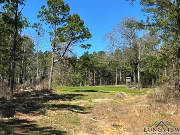 TBD CR 1453, Linden, TX 75563