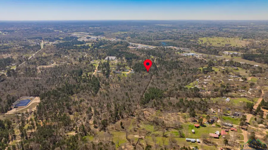 TBD Peavine Rd, Kilgore, TX 75662 - Image #2