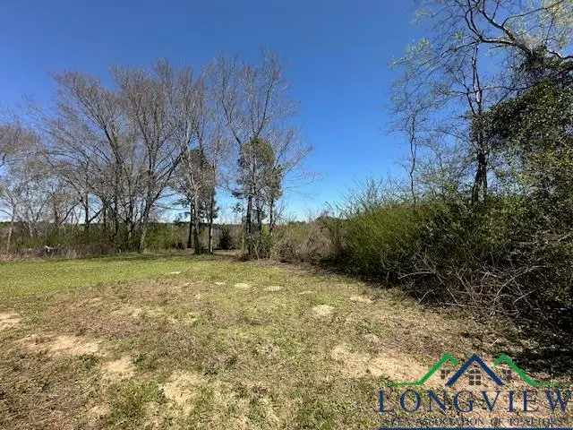 TBD CR 148 D, Overton, TX 75684 - Image #3