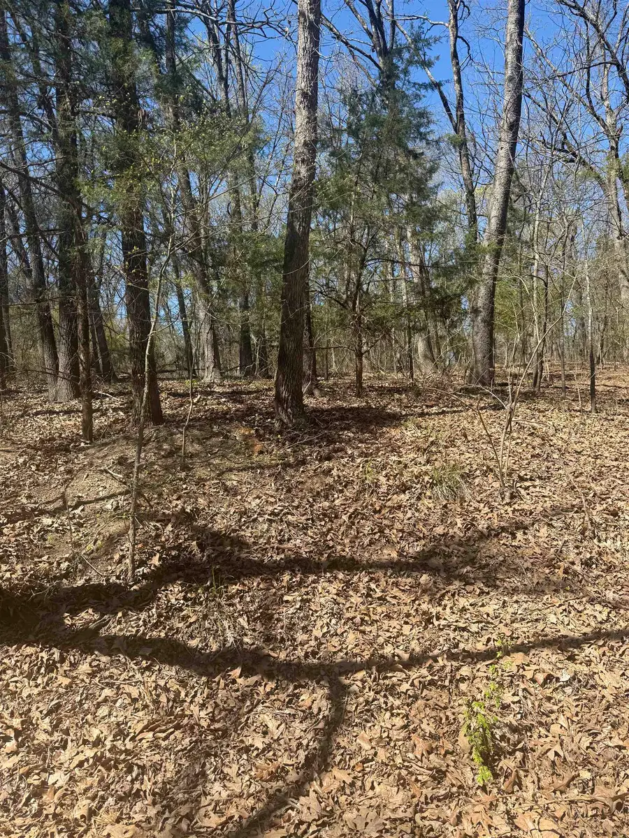 862 Bandera, Mount Vernon, TX 75457 - Image #2