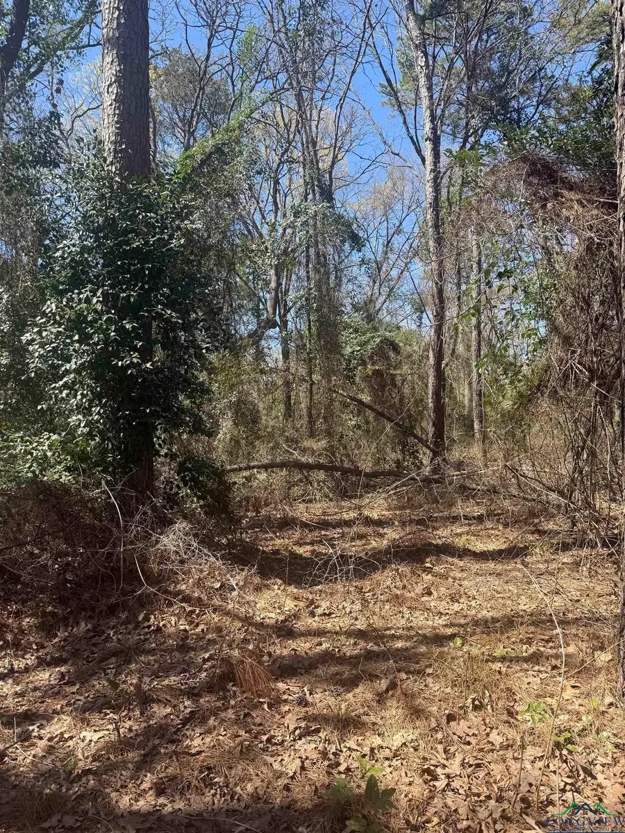 1029 San Saba Ln, Mount Vernon, TX 75457 - Image #2