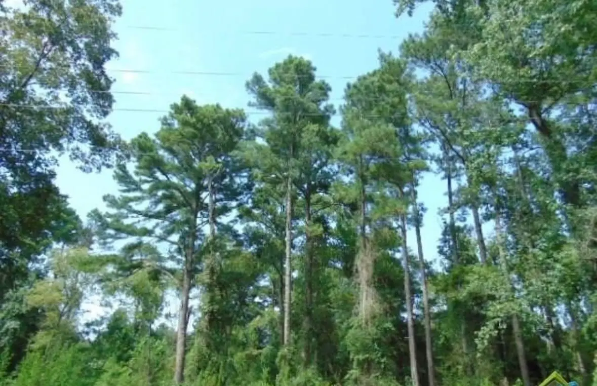 260 Chelsea Lane, Bullard, TX 75757 - #1