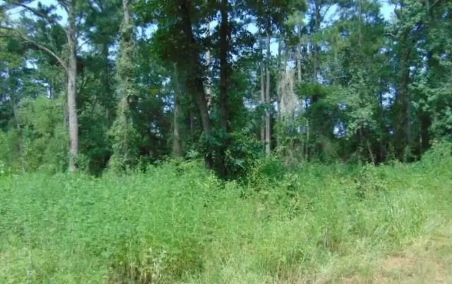 260 Chelsea Lane, Bullard, TX 75757 - #3