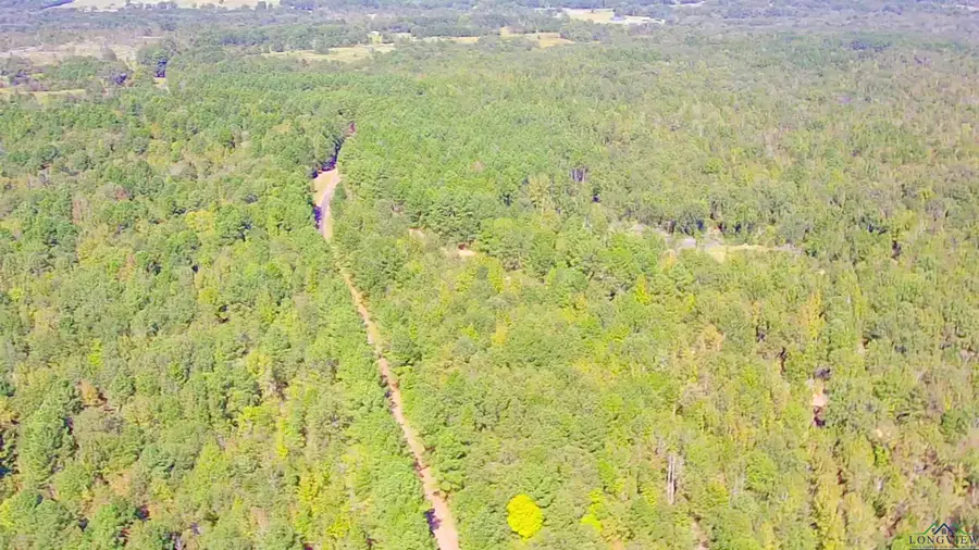 Tbd S CR 245, Kilgore, TX 75662 - Image #3