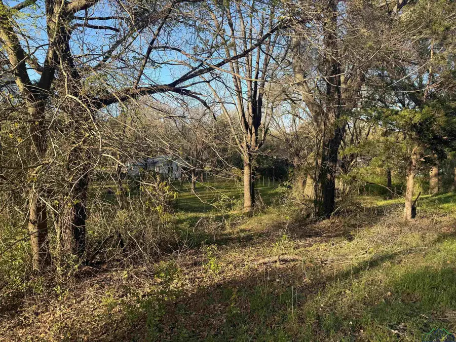 TBD Newsome St., Gilmer, TX 75644 - Image #2