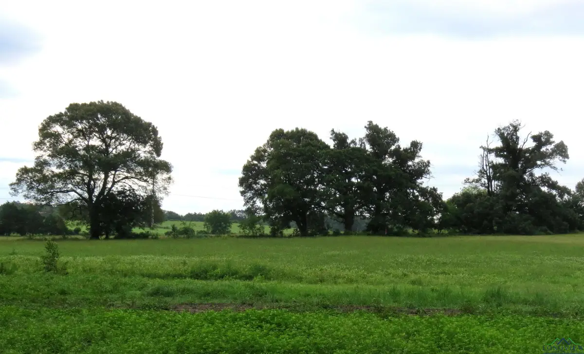 355 CR 3204, Quitman, TX 75783 - Image #1