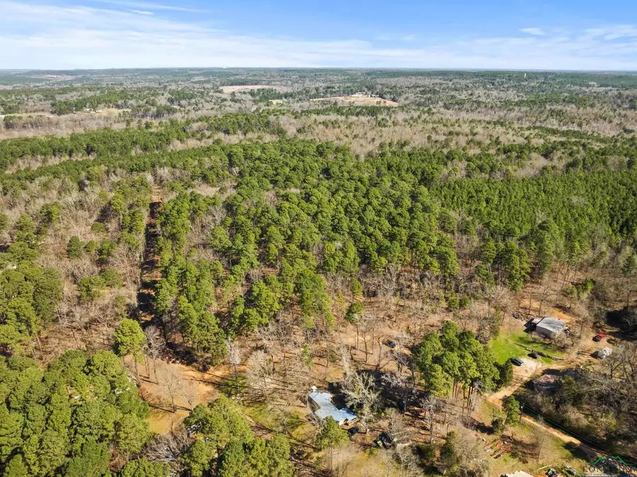 TBD THERON DRIVE LOT #5/6, Lone Star, TX 75668 - Image #3