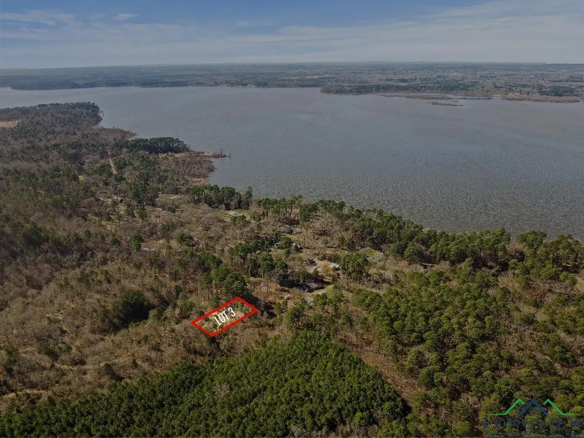 TBD THERON DRIVE LOT #11, Lone Star, TX 75668 - Image #1