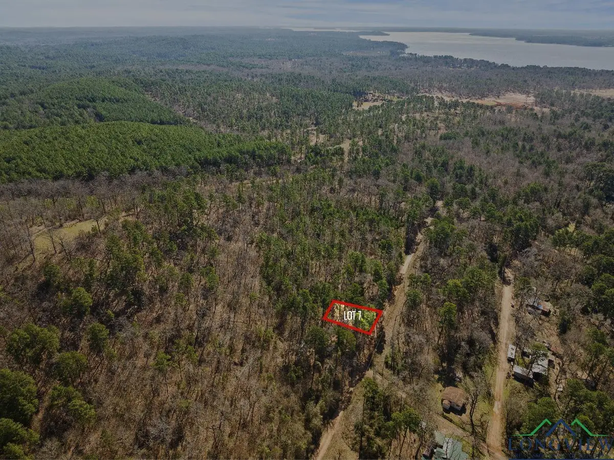 TBD FRANK ST LOT #214, Lone Star, TX 75668 - Image #1