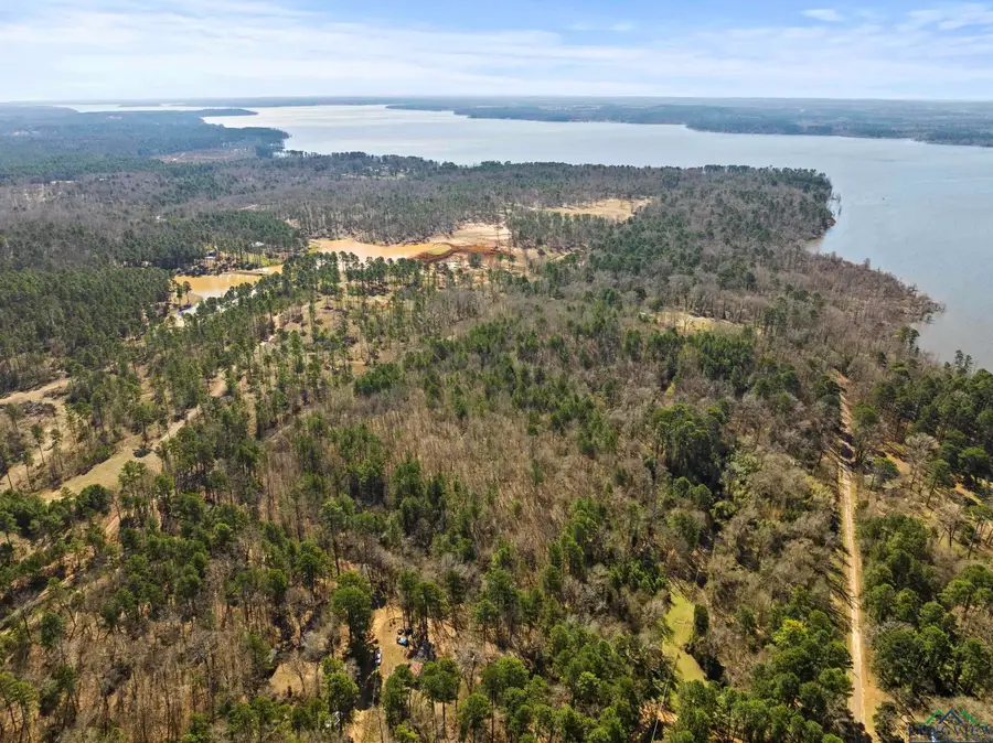 TBD GRAINGER RD LOT #54, Lone Star, TX 75668 - Image #3