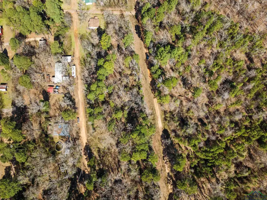 TBD STEVE ST LOT 116, Lone Star, TX 75668 - Image #3