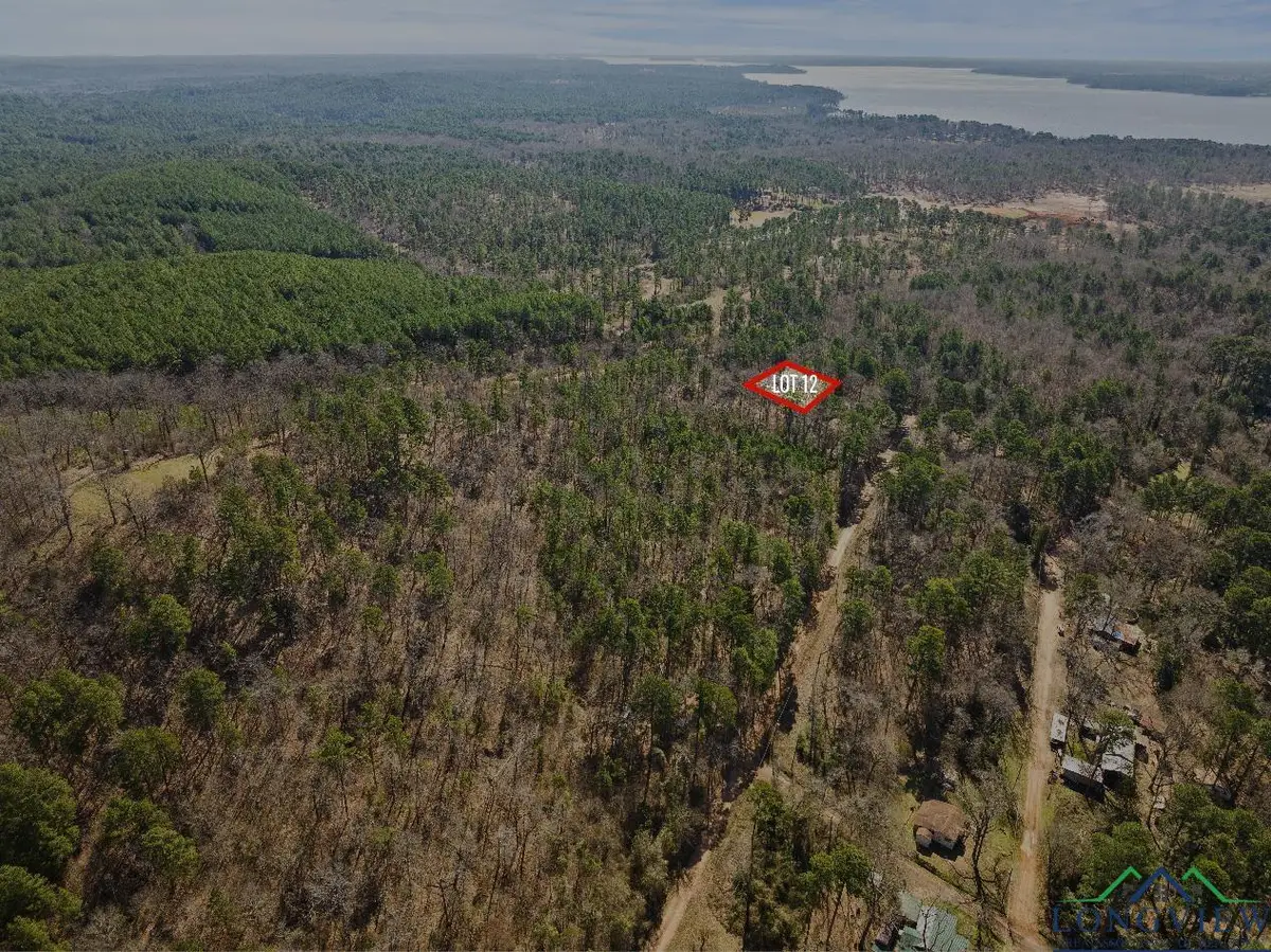 TBD MERLE DR LOT #201, Lone Star, TX 75668 - Image #1