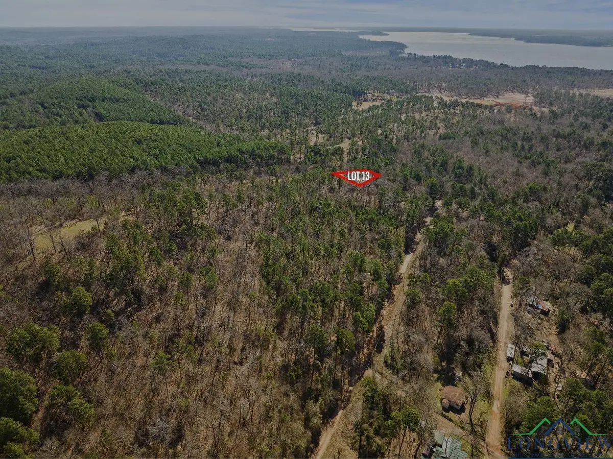 TBD MERLE DR LOT #198/199, Lone Star, TX 75668 - Image #1