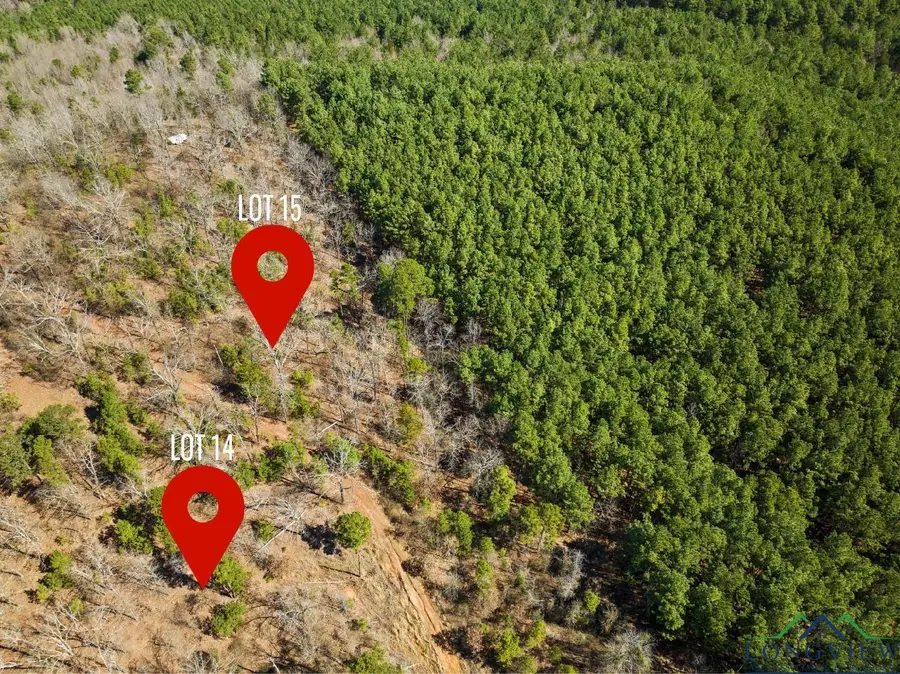 TBD MERLE DR LOT #185, Lone Star, TX 75668 - Image #3