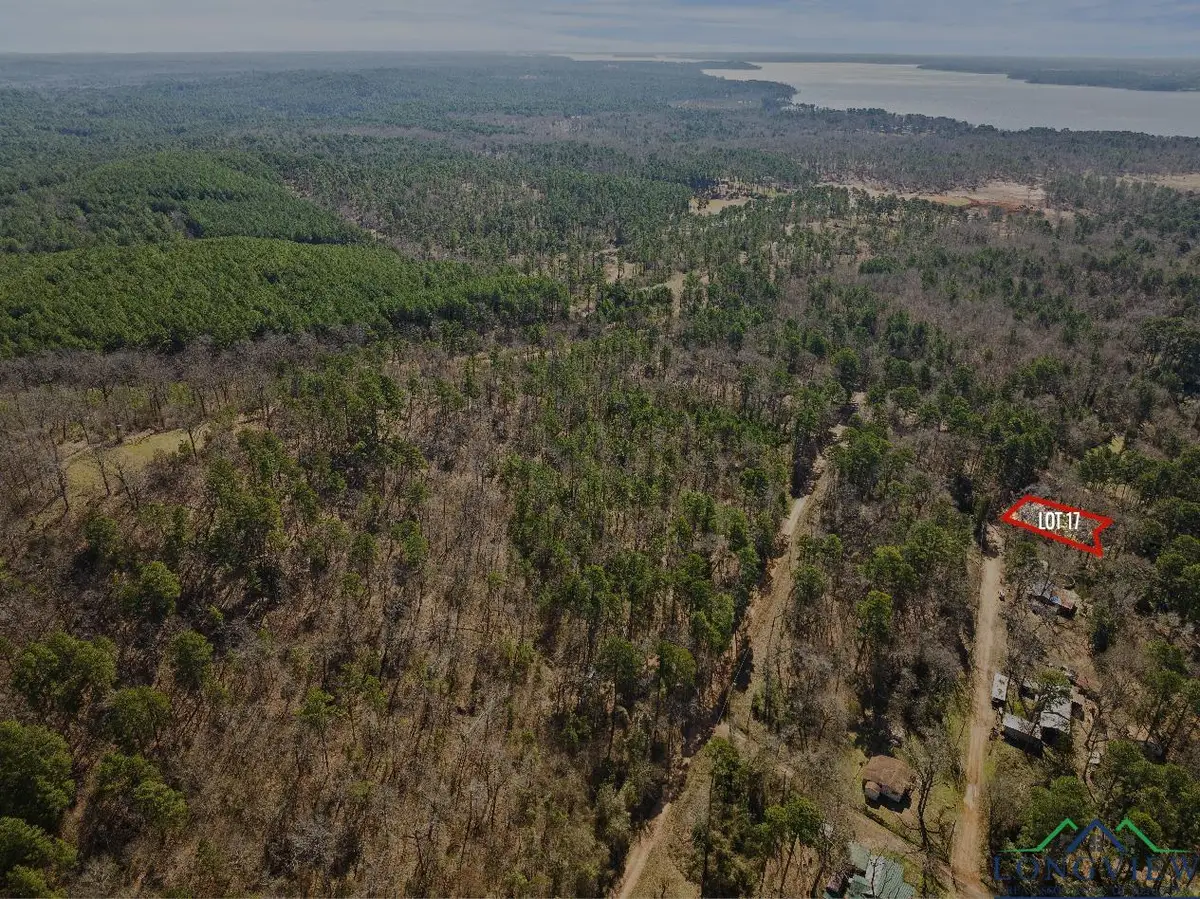 TBD STEVE ST LOT #116, Lone Star, TX 75668 - Image #1