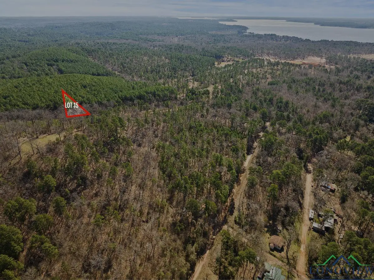 TBD MERLE DR LOT #180, Lone Star, TX 75668 - Image #1