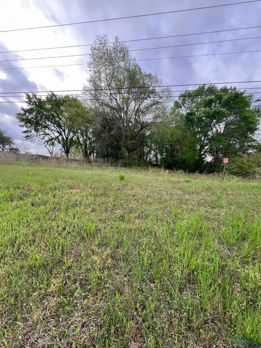 TBD S US 79,, Henderson, TX 75652 - Image #3