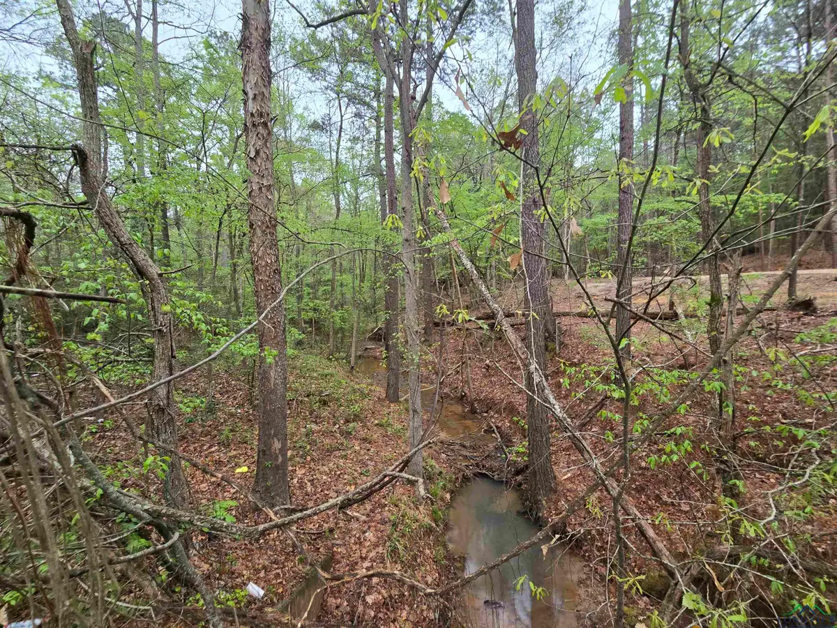 7908 W FM 2138, Jacksonville, TX 75766 - Image #1