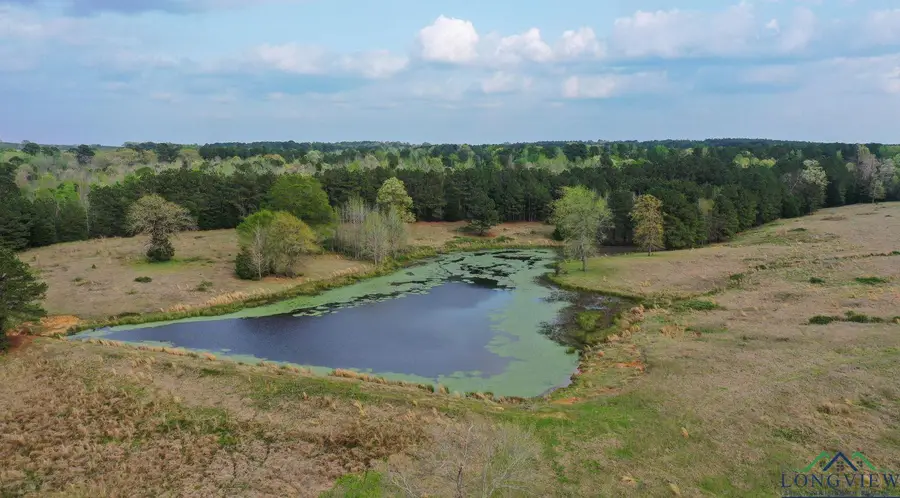 2111 County Road 4335, Atlanta, TX 75551 - Image #2