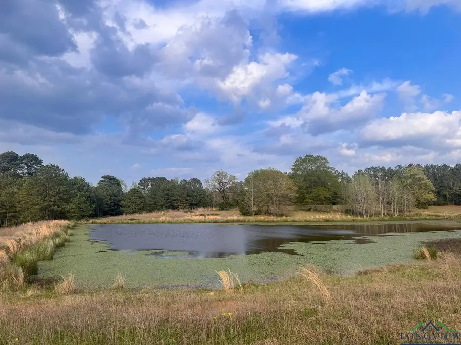 2111 County Road 4335, Atlanta, TX 75551 - Image #3