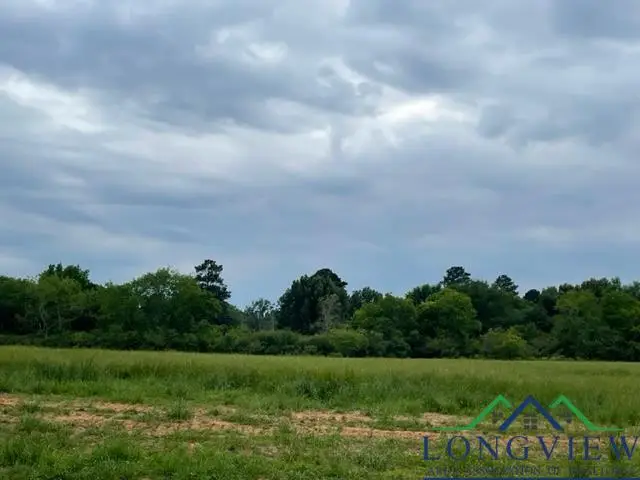 164 Brightside Trail, Kilgore, TX 75662 - Image #1