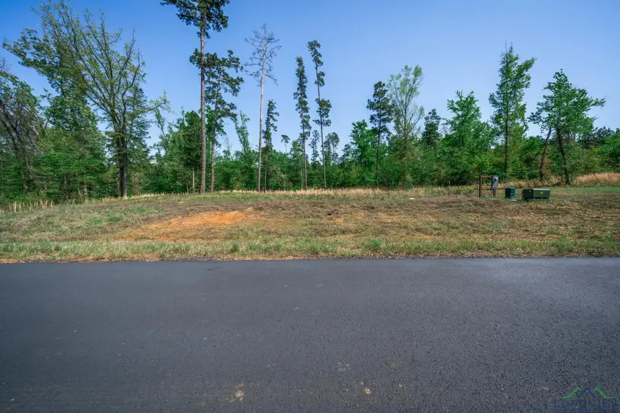 LT 53 Marble Way, Hallsville, TX 75650 - #2