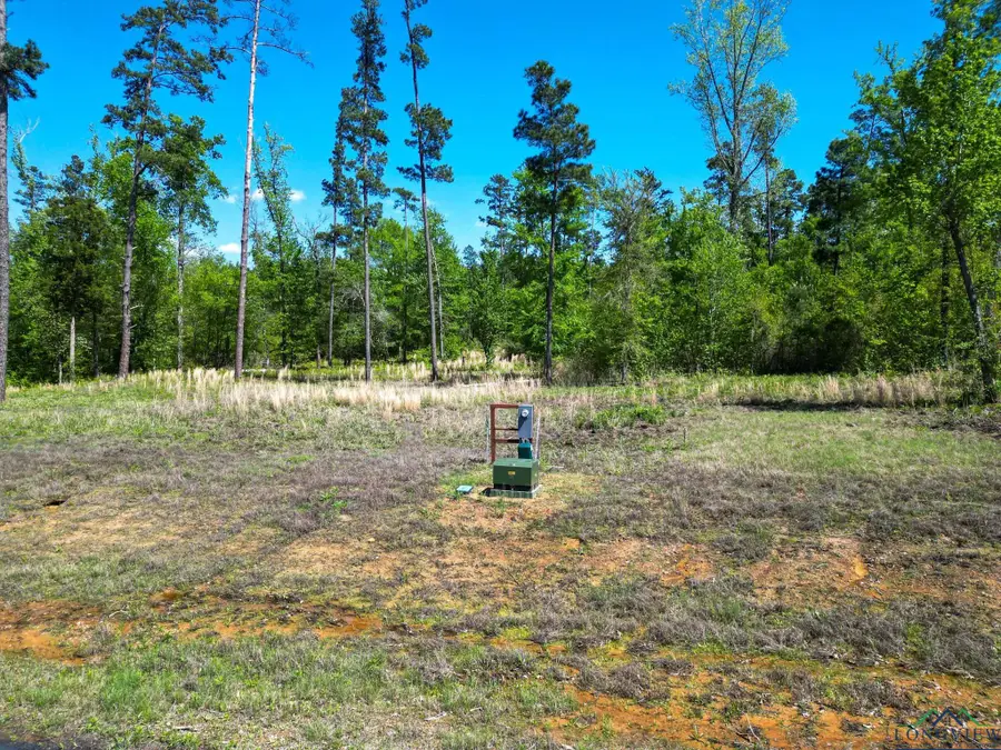LT 53 Marble Way, Hallsville, TX 75650 - #3