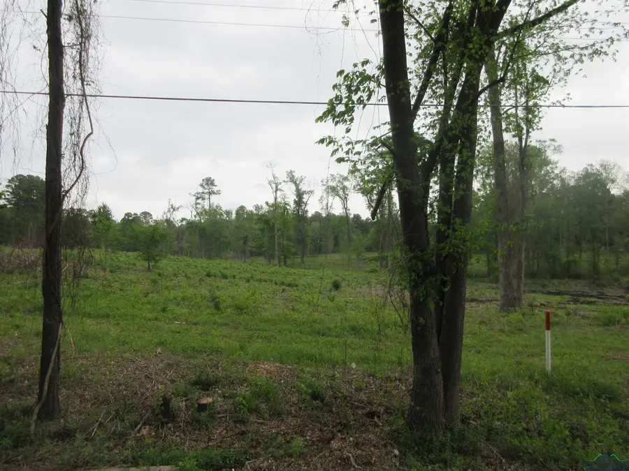 tbd SH 149, Longview, TX 75603 - Image #2