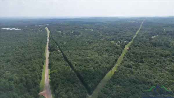 TBD FM 2796, Pittsburg, TX 75686